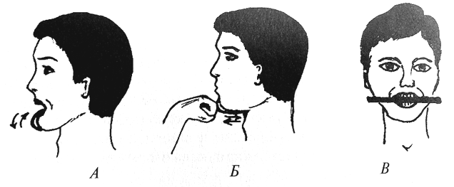 Тренировка мышц языка и нижней челюсти
