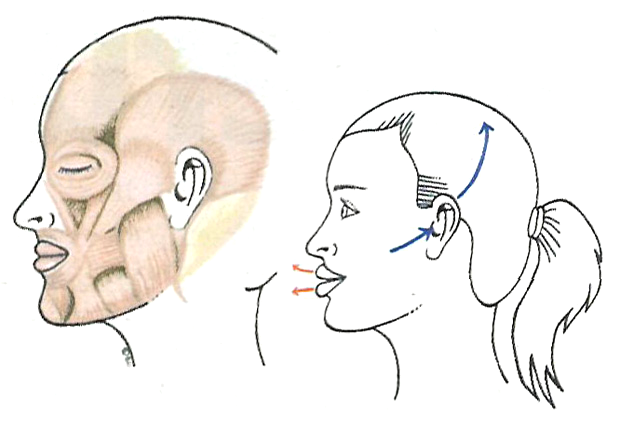 Упражнения для увеличения объема губ (Б. Кантиени)